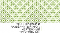 Презентация по математике на тему Угол. Прямой и развёрнутый угол. Чертёжный треугольник(5 класс)