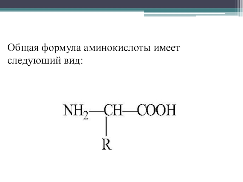 Презентация по теме аминокислоты