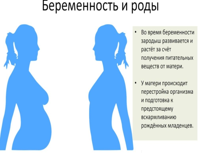 Проект на тему беременность и роды