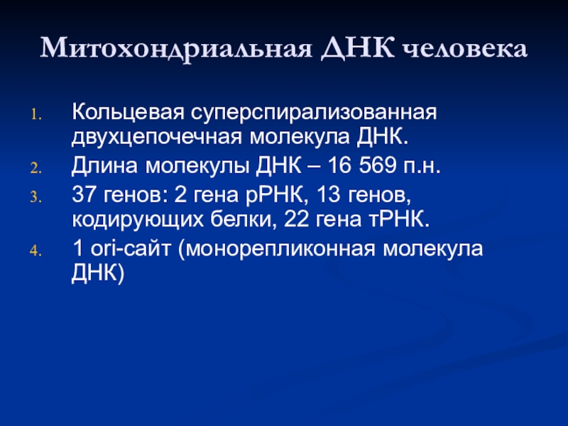 Днк 16. Митохондриальная ДНК презентация. Длина молекулы ДНК. Длина ДНК человека. 37 Генов митохондриальной ДНК.