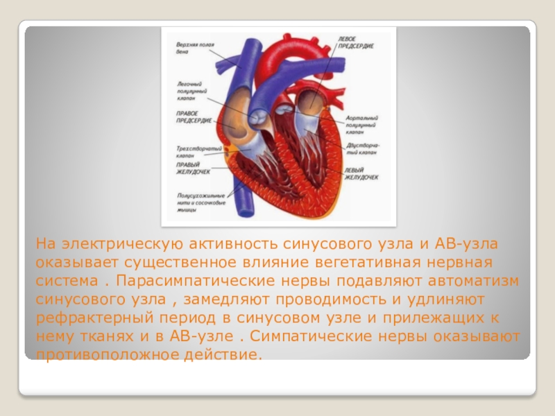 Тригонометрия в медицине картинки