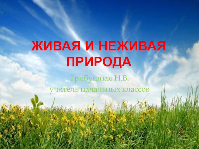 Неживая природа 1 класс. Живая и неживая природа фон. Титульник Живая и неживая природа. Фон для презентации Живая и неживая природа. Белоруссия Живая и неживая природа.