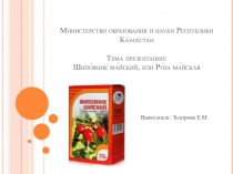 Шиповник майский, или Роза майская