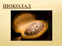 История шоколада. Презентация по окружающему миру