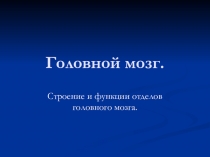 Презентация по биологии 8 класс по теме Строение головного мозга человека
