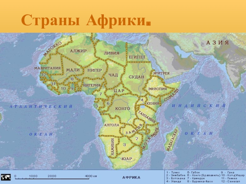 Презентация Презентация по географии на тему Страны Африки. ( 7 класс)
