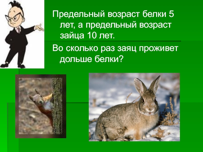 Сколько живет заяц продолжительность. Возраст зайца. Возраст белки. Алиса где живет заяц. Задача Возраст белки 6 лет, что составляет 60% жизни зайца.