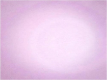 Презентация по русскому языку на тему Орфограммы корня