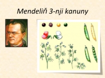 Biologiýa dersinden Mendeliň 3-nji kanunyna degişli sapak