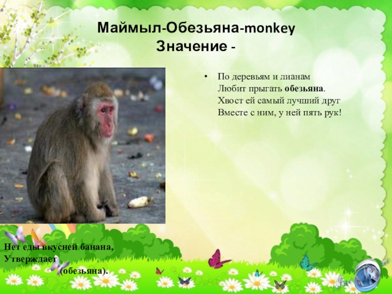 Маймыл-Обезьяна-monkey Значение -По деревьям и лианам Любит прыгать обезьяна. Хвост ей самый лучший друг Вместе с ним,