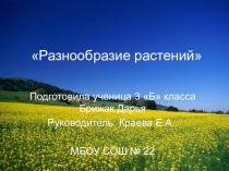 Презентация к конспекту урока на тему: Разнообразие животных
