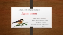 Шаблон презентации День птиц 3