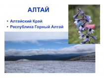 Презентация по географии Алтай по теме Западно-Сибирский экономический район (9 класс)