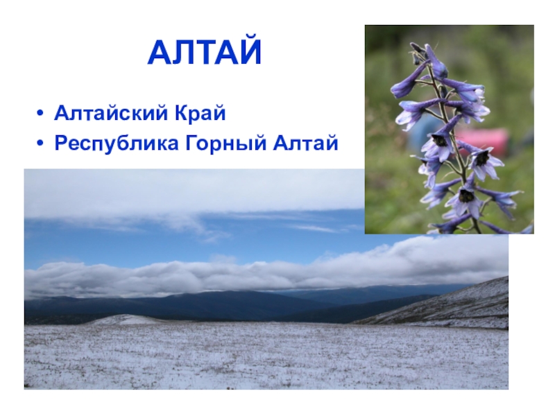 Презентация Презентация по географии Алтай по теме Западно-Сибирский экономический район (9 класс)