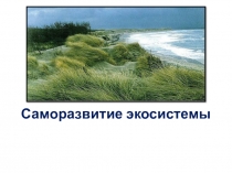 Презентация по биологии 9 класс Саморазвитие экосистемы
