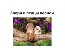 Презентация Весна часть 2