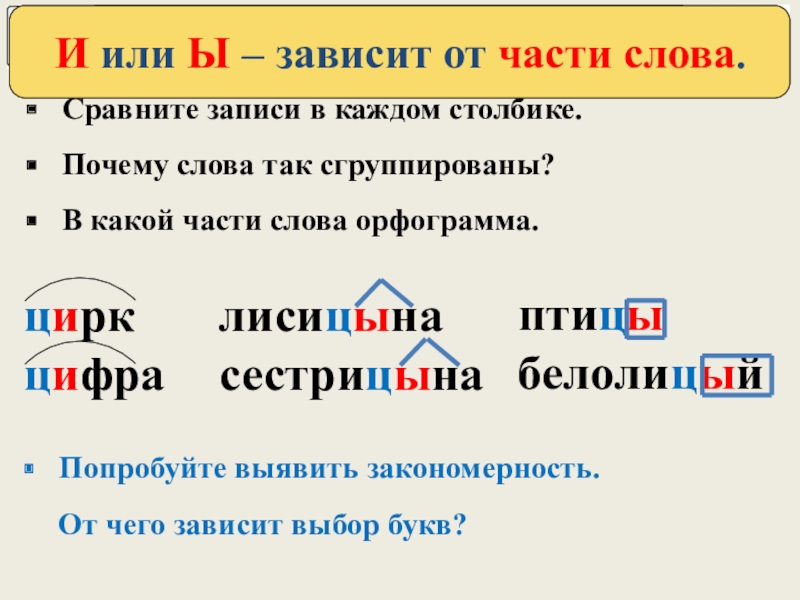 Ц в корне слова. Орфограмма и ы после ц. Слова с орфограммой и ы после ц. Слова с орфонраммой и ы ПОСЛЕЦ. Буква и после ц.