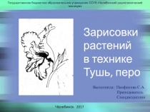 Презентация по рисунку на тему Зарисовки растений в технике Тушь,перо (2 курс)