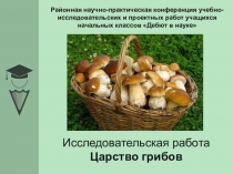 Презентация научно-исследовательской работы Царство грибов (начальные классы)