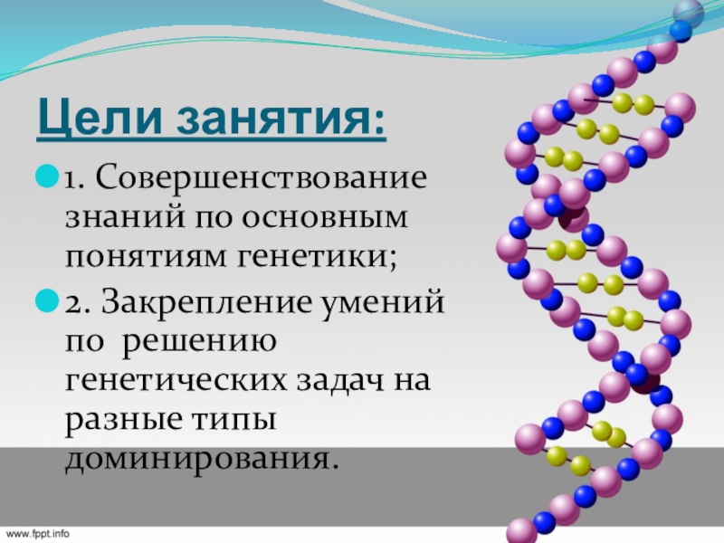 Презентация решение генетических задач 10 класс