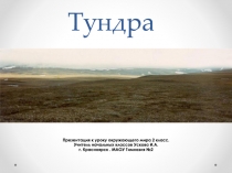 Презентация к уроку окружающего мира по теме Тундра