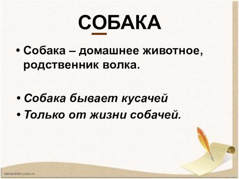 Только от жизни собачей собака бывает. Звериный родственные слова. Она бывает кусачей только от плохой жизни кто это.