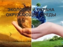 Презентация по внеурочной работе Экология и охрана окружающей среды
