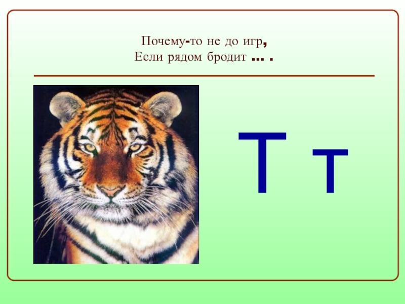 Почему т. Алиса отгадай загадку почему то не до игр если рядом бродит зверь. Алиса отгадай загадку почему то не до игр если рядом бродит.