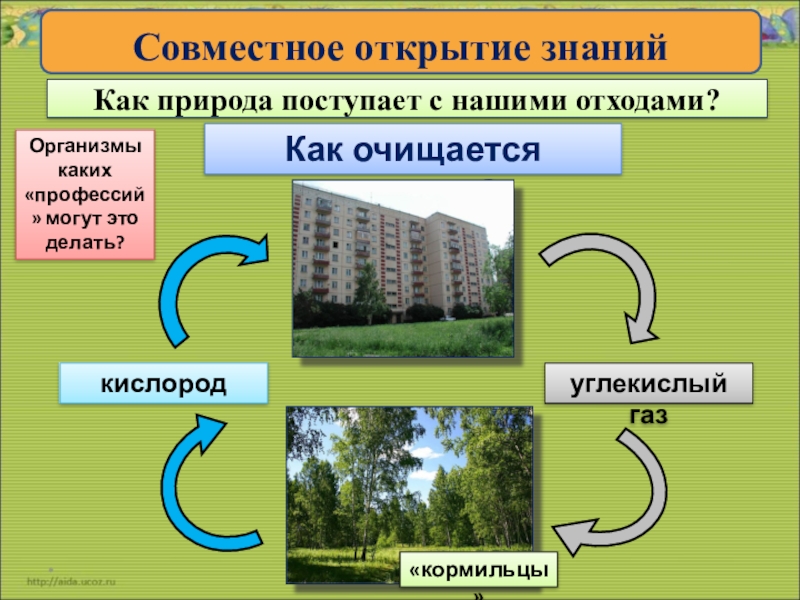 Как очистить воздух. Как очищается воздух. Что делать для очищения воздуха. Как очищать воздух в природе. Как очистить воздух в городе.