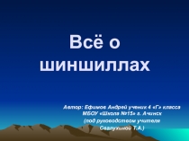 Презентация по проектной деятельности для 4 класса по теме Всё о шиншилах