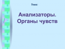 Презентация по биологии на тему Анализаторы (8 класс)