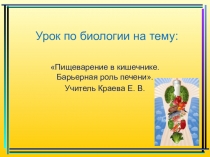 Презентация по биологии Пищеварение. Барьерная роль печени