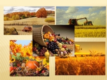 Презентация по курсу внеурочной деятельности Волшебное искусство тема Дары осени (Панно из круп и семян)