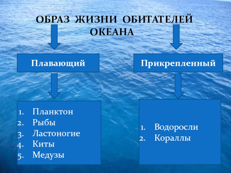 География 6 класс свойства вод мирового океана презентация 6 класс