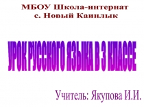 Презентация по русскому языку