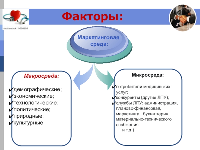 Факторы маркетинга