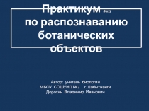 Презентация по биологии на тему: Практикум по распознаванию объектов №2. Ботаника (6 класс)