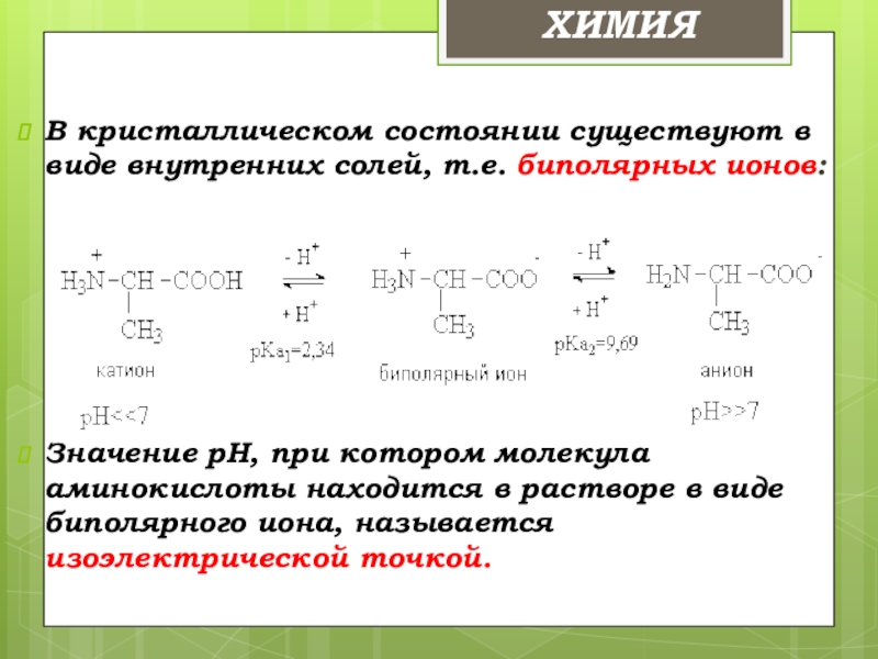 Презентация по химии аминокислоты