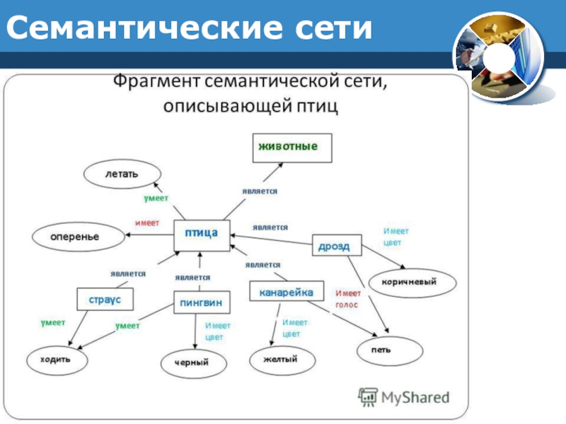 Карта понятий по биологии 8 класс