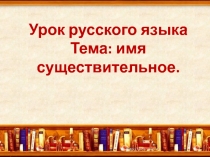 Презентация по русскому языку Имя существительное.