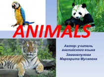 Презентация по английскому языку