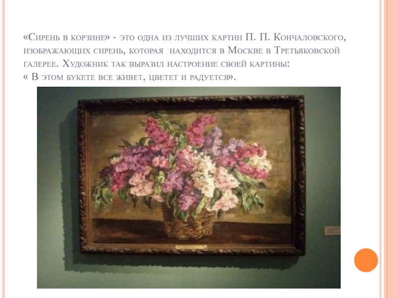 «Сирень в корзине» - это одна из лучших картин П. П. Кончаловского, изображающих сирень, которая находится в