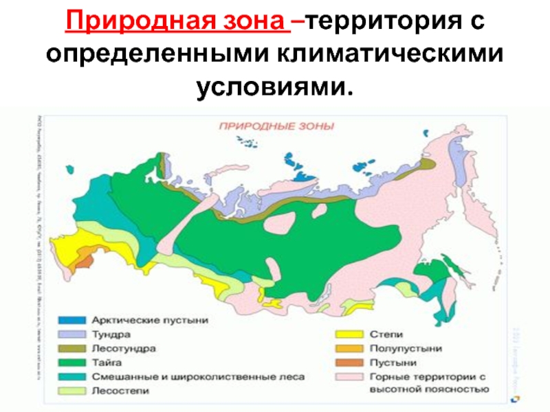 Самая маленькая по территории природная зона россии