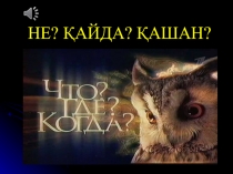 Не? Қайда? Қашан? интеллектуальдық ойын