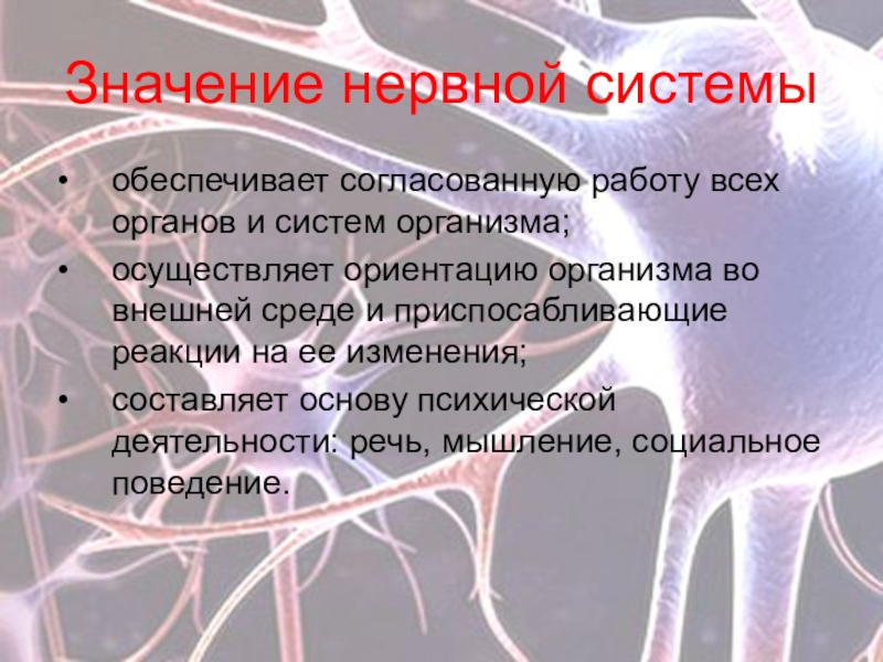 По которое обеспечивает согласованную работу всех узлов компьютера