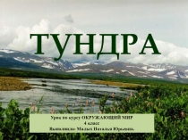 Презентация к уроку окружающего мира Тундра