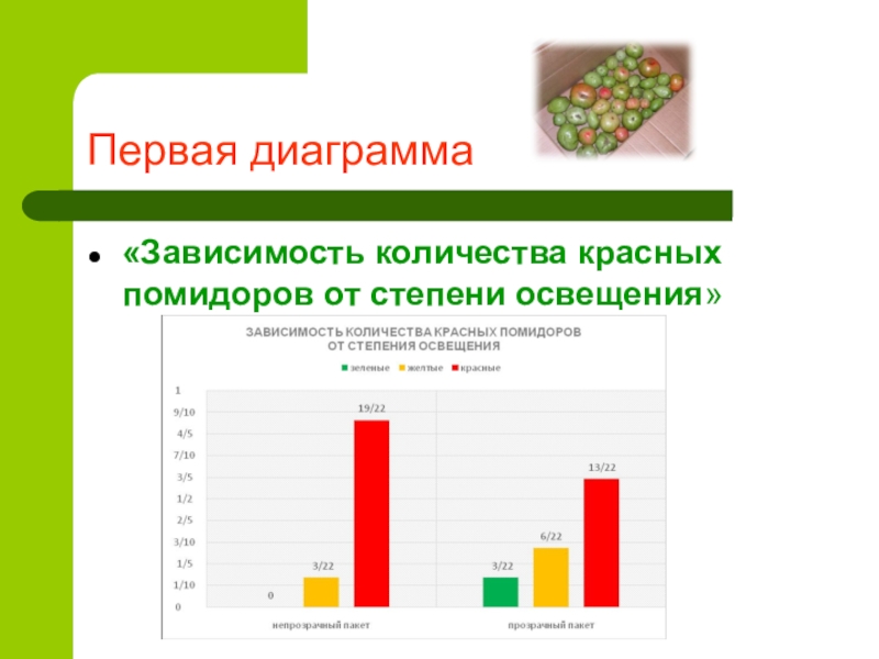 Диаграмма зависимости объема. Первая диаграмма. Диаграмма томата. Диаграмма по помидорам. Диаграмма томата по биологии.