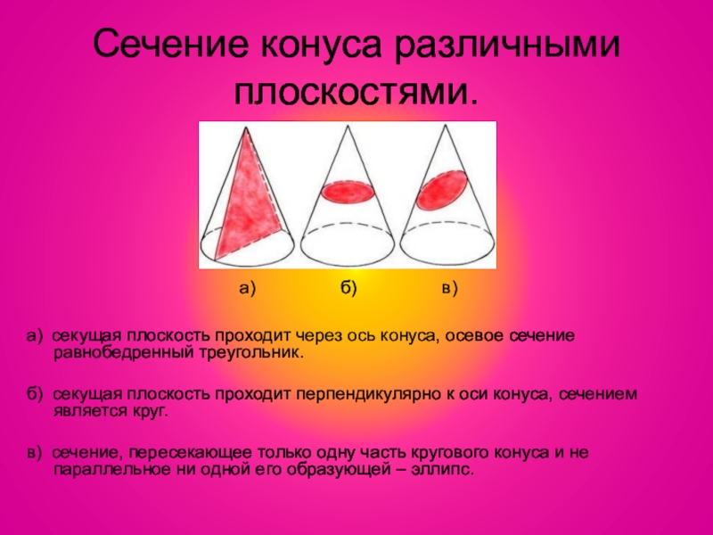 Сечение конуса параллельными плоскостями. Сечения конуса различными плоскостями. Сечение конуса разными плоскостями. . Конус. Сечения конуса различными плоскостями.. Сечения конуса геометрия.