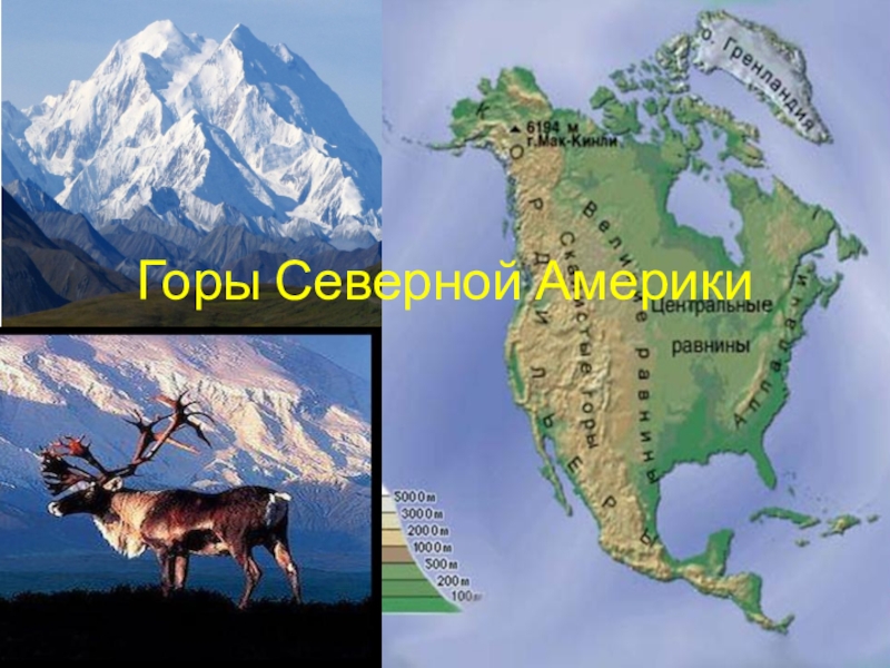 Презентация по географии на тему  Горы Северной Америки