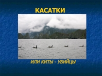 Презентация по экологии Касатки 2-4 классы